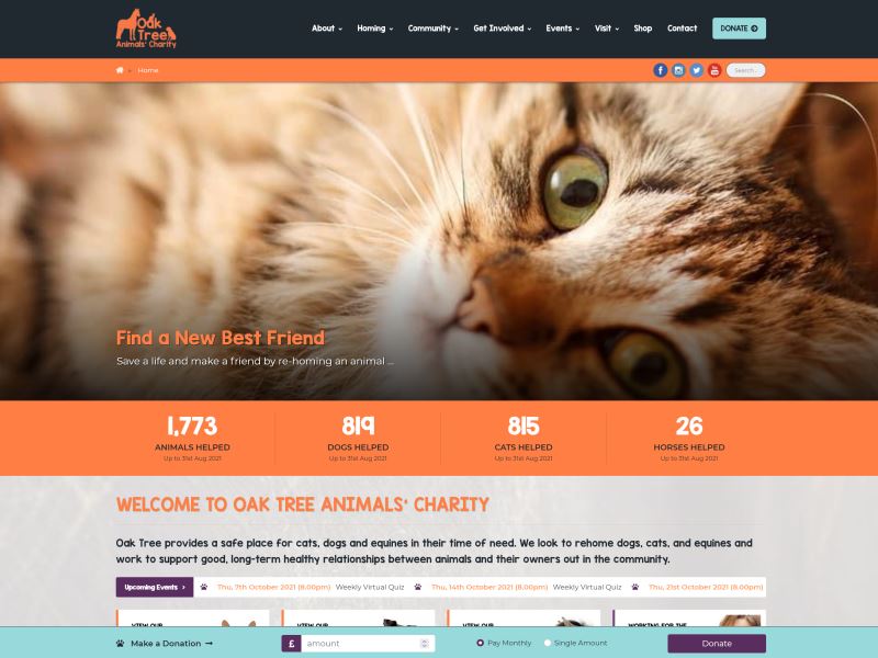 Oak Tree Animals' Charity - Cumbria's independent animal rescue and re-homing centre.
